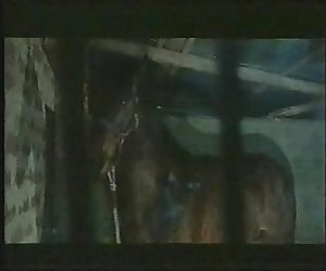 小遊艇船塢、 il 洛 e 羅湖史泰龍 pt1